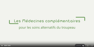 Vidéo groupe d'échange de pratiques sur les médecines complémentaires ACSA 2