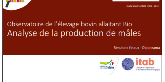 Support de présentation de l'observatoire de m'élevage de bovin allaitant bio