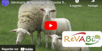 Replay du séminaire REVABIO