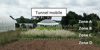 Illustration Tunnel Mobile vers plus de durabilité en maraichage biologique