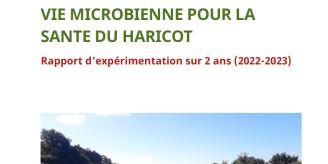 Illustration rapport SEMAVIE