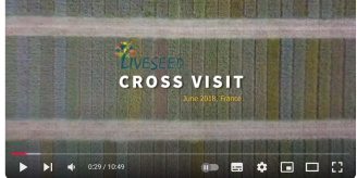videoCrossVisit LIVESEED