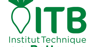 Logo ITB - format carré