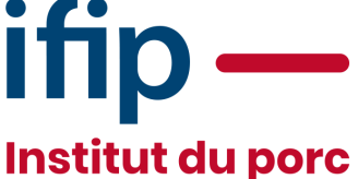 Logo Ifip - format carré