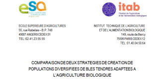 Rapport de stage : Comparaison de deux stratégies de création de populations diversifiées de blés tendres adaptés à l'agriculture biologique