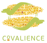 Logo Covalience format carré