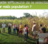 Vidéo - Covalience : présentation des résultats