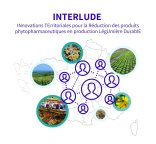 Visuel projet