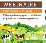 Affiche du webinaire L'élevage biologique : conditions et potentiel de développement