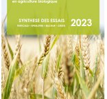 synthèse céréales secondaires 2023