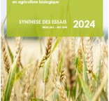 synthèse céréales secondaires 2024