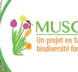 Bandeau logo MUSCARI