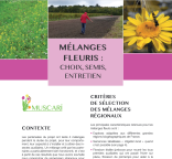 Couverture de la fiche technique "Muscari - Mélanges fleuris : choix, semis, entretien"