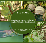 Visuel CIMA 2025