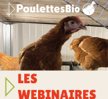 Visuel des webinaires 2026 du projet Poulettes Bio