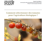 Guide : Comment sélectionner des tomates pour l'agriculture biologique ?