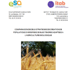 Rapport de stage : Comparaison de deux stratégies de création de populations diversifiées de blés tendres adaptés à l'agriculture biologique