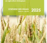 couverture synthèse céréales secondaires 2025