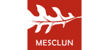 Logo Mesclun Durab