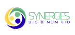 Logo du programme Synergies BnB