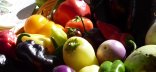 Photo carousel Favoriser une alimentation bonne, saine et équitable