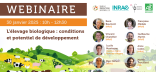 Affiche du webinaire L'élevage biologique : conditions et potentiel de développement