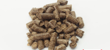 Sainfoin - non UAB