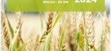 synthèse céréales secondaires 2024