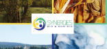 Visuel webinaires SBNB