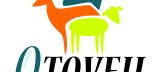 Logo du projet OTOVEIL