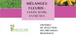 Couverture de la fiche technique "Muscari - Mélanges fleuris : choix, semis, entretien"