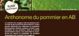 Fiche technique : Anthonome du pommier en AB
