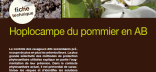 Fiche technique : Hoplocampe du pommier en AB