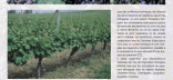 Fiches et cahiers Viticulture - 2003