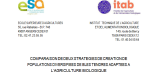 Rapport de stage : Comparaison de deux stratégies de création de populations diversifiées de blés tendres adaptés à l'agriculture biologique