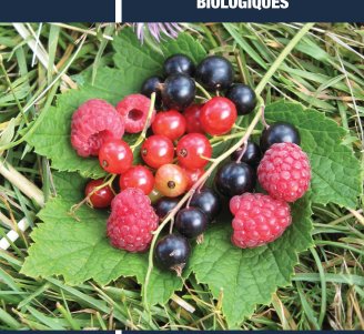Couverture du Guide Produire des petits fruits biologiques