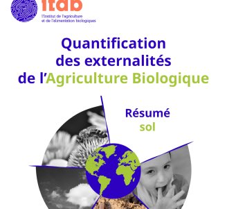 Couverture du résumé Sol de l'Etude Externalités de l'AB