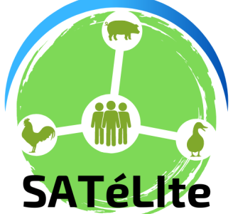 Logo projet SATELITE