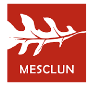 Logo Mesclun Durab