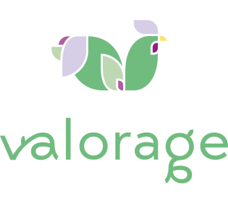 Logo du projet Valorage
