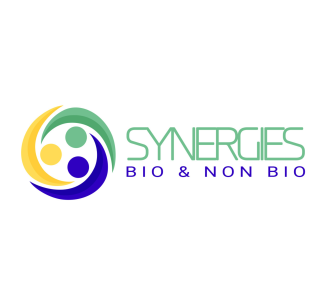 Logo du programme Synergies BnB