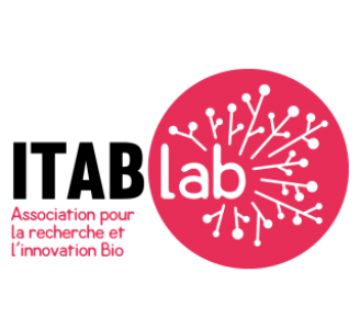 Logo ITAB Lab