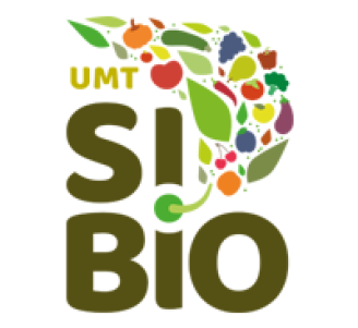 Logo UMT SIBIO