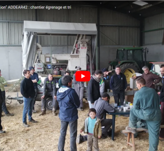 Vidéo - Covalience : maïs population, chantier égrenage et tri