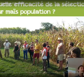 Vidéo - Covalience : présentation des résultats