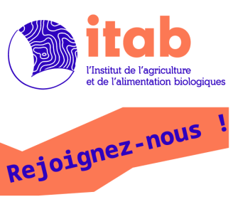Visuel recrutement