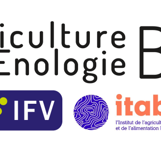 Logo Viticulture Œnologie Bio IFV ITAB