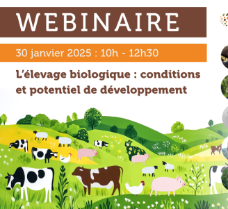 Affiche du webinaire L'élevage biologique : conditions et potentiel de développement
