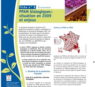 Fiches DévAB : couverture 8 Économie