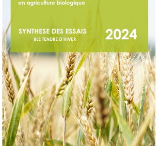 couverture synthèse blé tendre d'hiver 2024